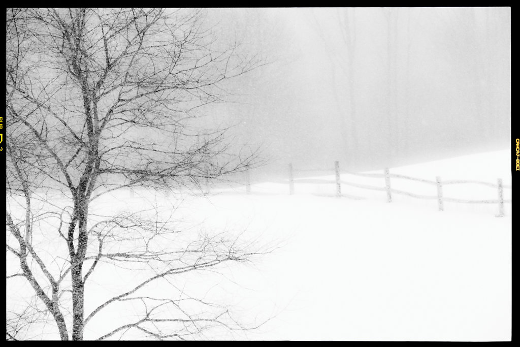 IMG-0018-Edit-Edit-Edit.jpg