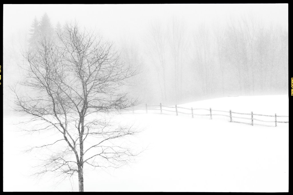 IMG-0016-Edit-Edit.jpg