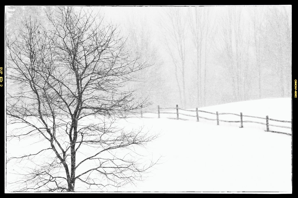 Snow-Storm-4-Edit.jpg
